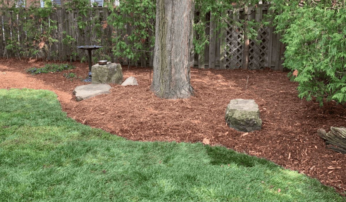 red mulch in a landscape with tress and shrubs