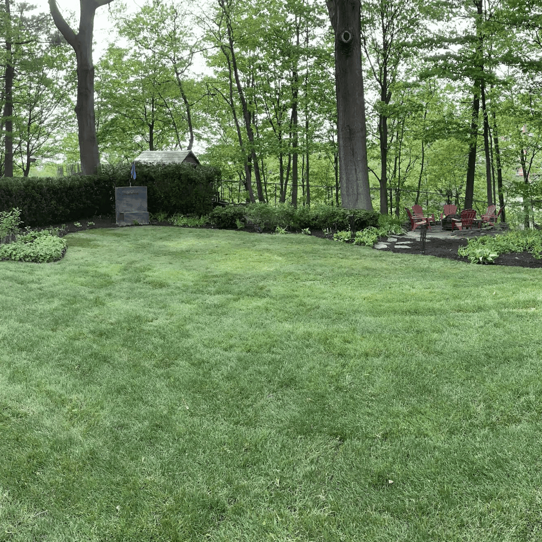 oakville-lakeshore-landscaping-project (1)-min