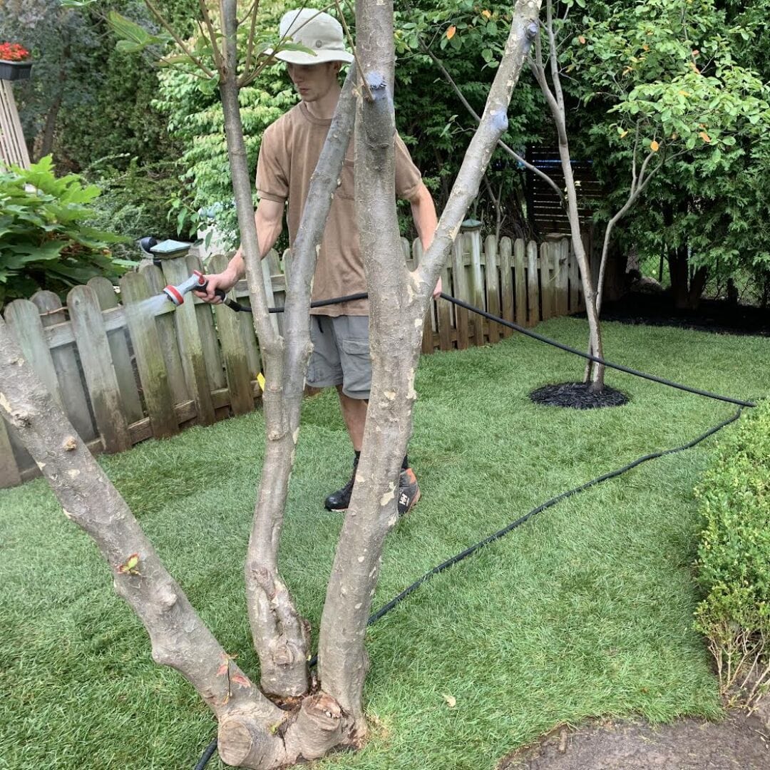 landscaper watering grass with hose